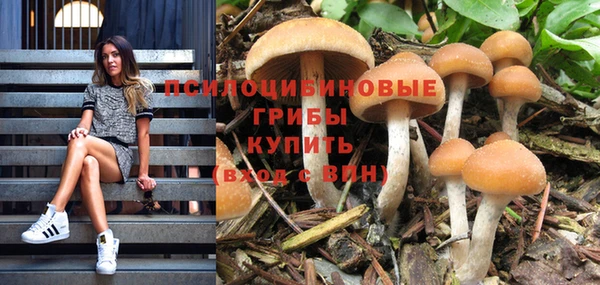 спайс Баксан