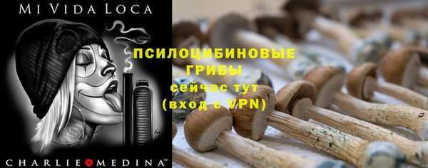 спайс Баксан