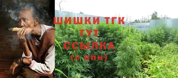 спайс Баксан