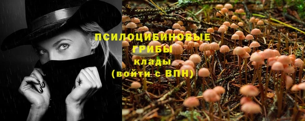 крисы Балахна